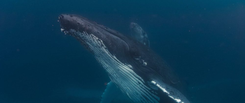 WhatsApp Image 2025-12-04 at 11.44.32